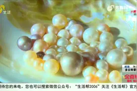 珍珠蚌“入住”,济宁塌陷地摇身一变成“聚宝盆”,亩产珍珠20公斤视频封面