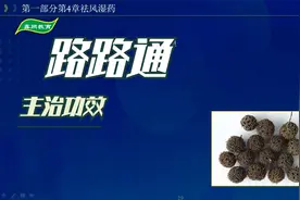 中药-路路通的主治功效