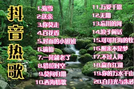 20首抖音热歌《殇雪》《送亲》《你莫走》《西海情歌》一晃就老了视频封面
