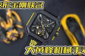 我居然收到了变形金刚全系列玩具，神奇的是，大黄蜂还能变机械表视频封面