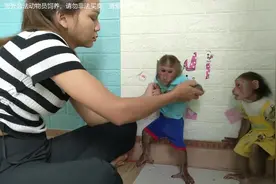 养猴子不乖怎么办，看女孩是如何教育猴子的，猴子害怕极了视频封面