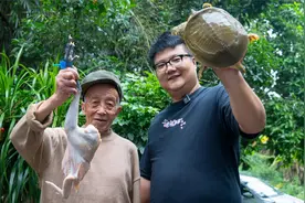 4斤土鸡一只甲鱼，阿米做“霸王别姬”软糯入味，阿公叹裙边巴适