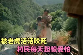 曾经的朝鲜半岛虎豹成群，农民被老虎活活咬死，村民每天担惊受怕视频封面