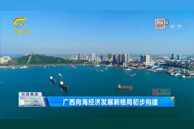 广西向海经济发展新格局初步构建视频封面