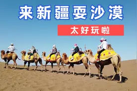 带日本老婆来新疆耍沙漠真是太好玩啦！视频封面