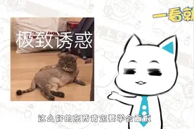 我知道你们喜欢这个！白丝的绘制秘籍拿走不谢！视频封面