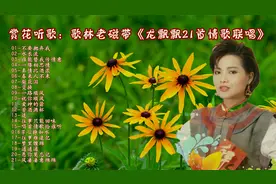 赏花听歌：歌林老磁带《龙飘飘21首情歌联唱》视频封面