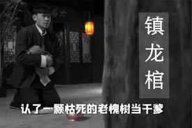 我出生时爷爷封卦自瞎双眼，让父亲抱我认老槐树当干爹……