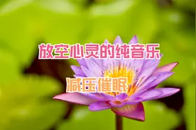 唯美轻音乐--古今多少苍茫事，前车历历未能忘。——《毛主席》视频封面
