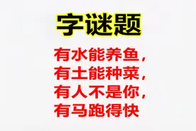 字谜题：有水能养鱼，有土能种菜，有人不是你，有马跑得快视频封面