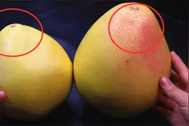 买柚子时，挑圆的还是尖的？教你2招，柚子皮薄果、肉汁水多多