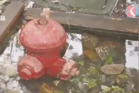 消防栓漏水水流一地，好长时间咋没人管？物业很委屈：没人给报修视频封面