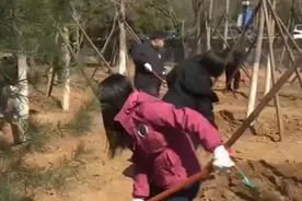 北京：设立17处义务植树点，28处林木抚育点视频封面
