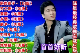 陈星10首经典歌曲，车载DJ舞曲版，《离家的孩子》《流浪歌》