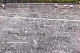 台风“黑格比”越过上海  街头一片狼藉