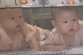 绝对是亲姐！姐姐吃饭双胞胎妹妹隔纱围观，几秒后馋哭了视频封面