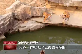 虎年话虎：无锡有座“老虎山”？视频封面