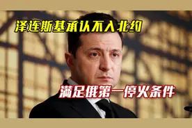 泽连斯基罕见承认：乌克兰不加入北约，或准备和俄罗斯谈停火视频封面
