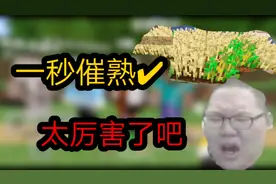 【我的世界】教你如何一秒催熟小麦！真的一秒！