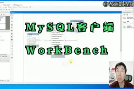 MySQL客户端-WorkBench使用指南视频封面
