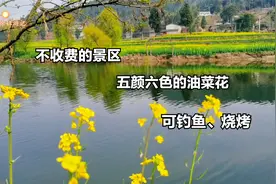 2月23日继续葫芦岛周边游，五颜六色的油菜花，镜子一样的河面视频封面