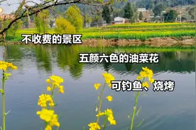 2月23日继续葫芦岛周边游，五颜六色的油菜花，镜子一样的河面视频封面