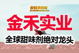 全球甜味剂绝对龙头，金禾实业，O糖O卡风潮最受益的公司之一视频封面