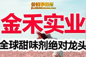 全球甜味剂绝对龙头，金禾实业，O糖O卡风潮最受益的公司之一视频封面