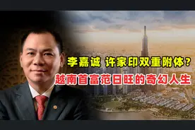 越南首富范日旺，下一个许家印还是李书福？
