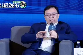 王传福当众辟谣：没有劝雷军不造车！比亚迪正和小米洽谈汽车合作视频封面