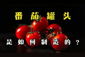 2分钟带你了解，番茄是如何机械化采收并被批量加工成罐头的视频封面
