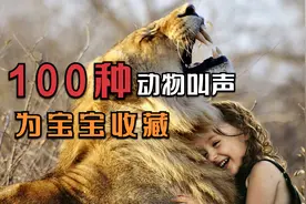 这100种动物你都认识吗？它们是怎么叫的呢？——教宝宝认动物视频封面