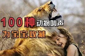这100种动物你都认识吗？它们是怎么叫的呢？——教宝宝认动物视频封面