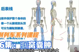 膝盖后面长肿包咋办？李医生从后表线角度，分享腘窝囊肿治疗方法视频封面