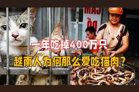 猫躲过了中国吃货，却变成越南人的盘中餐，越南人为何爱吃猫肉？视频封面
