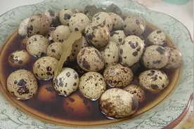 鹌鹑蛋家常做法，隔三差五做一次，比外面卖的好吃多了视频封面
