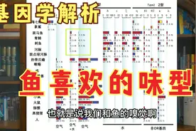 钓鱼院士：用基因学告诉你，茅台酒米诱鱼吗？鱼喜欢什么味型视频封面