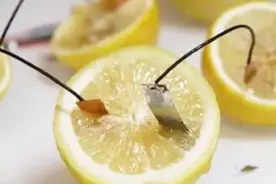 老外用1000个柠檬做水果电池，效果怎样？您来评价一下视频封面