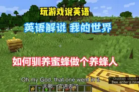 玩游戏说英语 英语解说 我的世界 如何驯蜜蜂做个养蜂人？