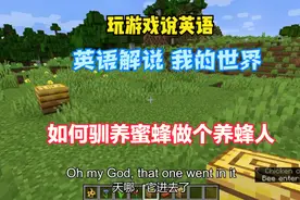 玩游戏说英语 英语解说 我的世界 如何驯蜜蜂做个养蜂人？