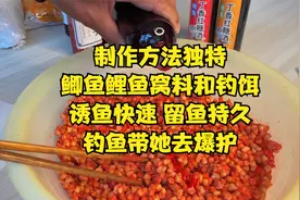 制作方法独特的鲫鱼鲤鱼窝料钓饵，诱鱼快速留鱼持久，钓鱼带上她视频封面