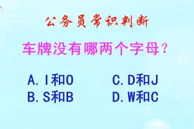 公务员常识判断，车牌没有哪两个字母？长见识啦视频封面