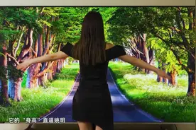 98英寸私家影院 海信98E7G-PRO电视体验测试视频封面
