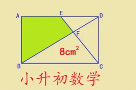 一道小升初数学题，大学生看了也不会，求阴影部分的面积视频封面