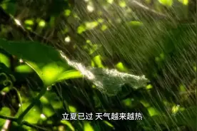 专家预测我国6至8月天气 或“旱涝并重” 极端事件偏多视频封面