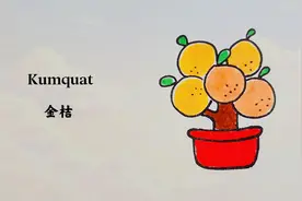 每家每户过年必买的金桔，大吉大利简笔画，每天一画儿童手绘图片视频封面