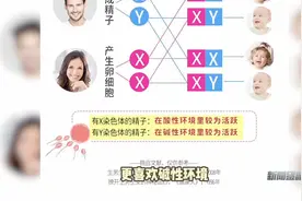 鉴证：备孕女性可以通过调节身体酸碱度决定胎儿性别？视频封面