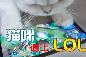 职 业 代 打 喵(五)～视频封面