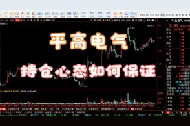 平高电气 大盘指数 风险警报器的运用以及持仓心态如何保证视频封面