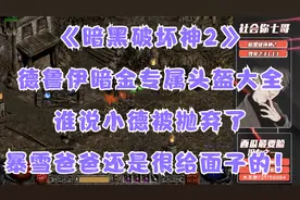 《暗黑破坏神2》德鲁伊暗金专属头盔大全，谁说小德被抛弃了。